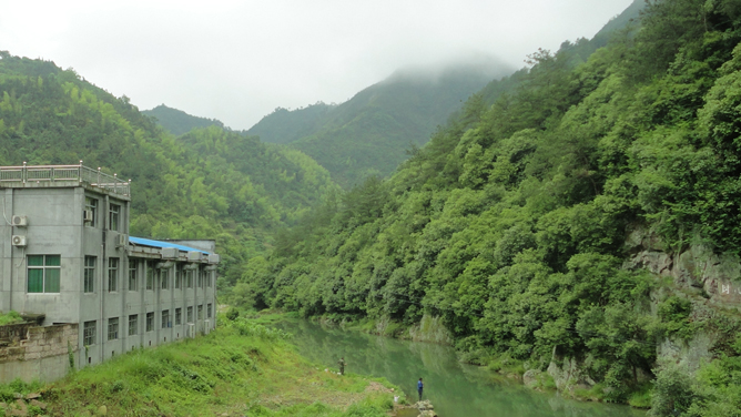 仙都黃貢茶園基地